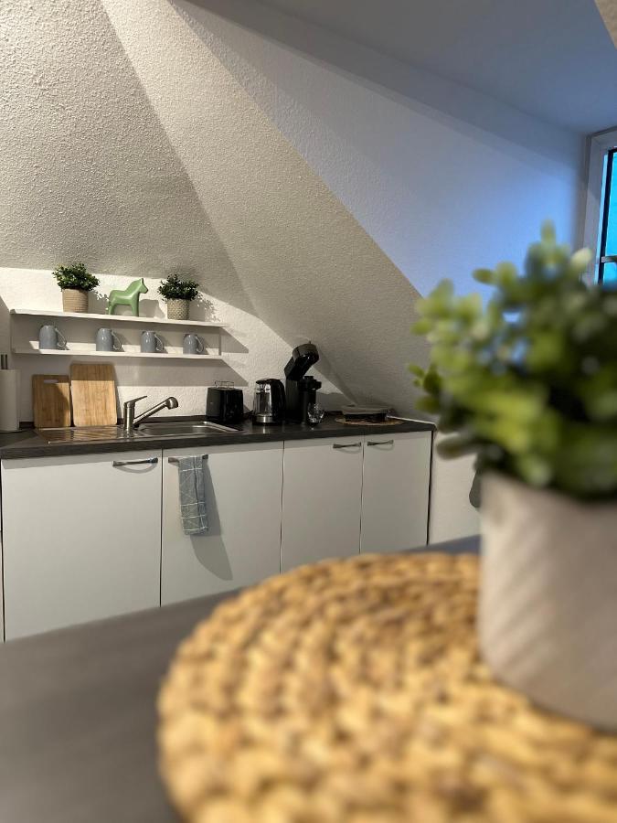 Oasis Appart - Wohnen Am Elbtal - Balkon - Netflix - Tiefgarage Дрезден Экстерьер фото