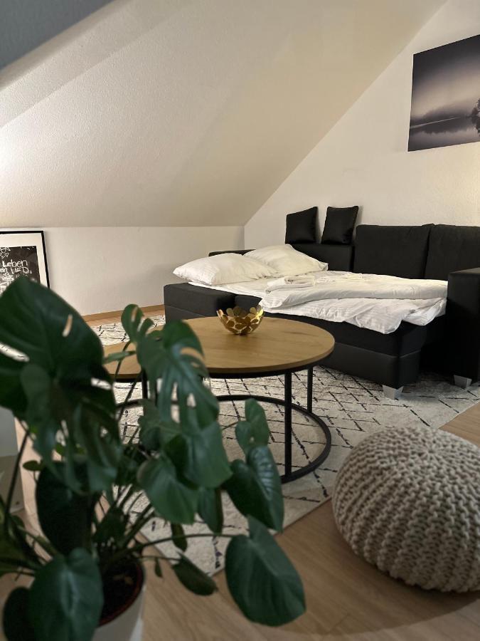Oasis Appart - Wohnen Am Elbtal - Balkon - Netflix - Tiefgarage Дрезден Экстерьер фото